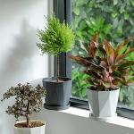 InmeRun Plant Pots Indoor Plastic Flower Pots Outdoor 5 inch Set of 6 Pack with Drainage Holes and Saucers for Garden Pots (5 in 6 pcs)