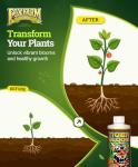 FoxFarm Tiger Bloom Liquid Fertilizer Concentrate - Fast Acting Formula for Vicious Growth with Phosphorus - Encourages Fruit, Flower & Bud Development, NPK 2-8-4 (Pint)