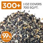 Groundio Sunflower Seeds for Planting, 15+ Varieties, 1 Oz, 300+ Mixed Seeds to Plant Colored Sunflower for Outdoors, Garden, Attracts Pollinators