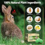 Rabbit Repellent Outdoor,20 Pack Natural Peppermint Oil Rabbit Repellent Pet Safe,Powerful Rabbit Deterrent,Rabbit Repellant for Garden,Deer Repellent for Outdoor Tree Yard, Safe for Lawn and Plant