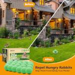 Rabbit Repellent Outdoor,20 Pack Natural Peppermint Oil Rabbit Repellent Pet Safe,Powerful Rabbit Deterrent,Rabbit Repellant for Garden,Deer Repellent for Outdoor Tree Yard, Safe for Lawn and Plant