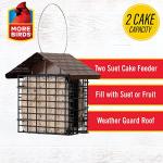 More Birds Double Suet Feeder with Weather Guard, 6.5" L X 4.25" W X 7.25" H, Brown