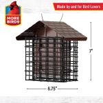 More Birds Double Suet Feeder with Weather Guard, 6.5" L X 4.25" W X 7.25" H, Brown