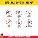 More Birds Double Suet Feeder with Weather Guard, 6.5" L X 4.25" W X 7.25" H, Brown