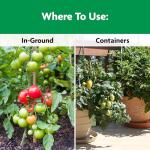 Miracle-Gro Shake 'n Feed Tomato, Fruit and Vegetable Plant Food, For Outdoor In-Ground and Potted Plants, Feeds up to 3 Months, 4.5 lbs.
