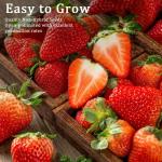 Breoudo 1200+ Mix Fruit Seeds, Berry Seeds - 6 Variety Non-GMO Heirloom Organic, Include Strawberry Seeds, Raspberry Seeds, Mulberry Seeds, Cranberry Seeds, Cherry Seeds, Blueberry Seeds