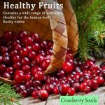 Breoudo 1200+ Mix Fruit Seeds, Berry Seeds - 6 Variety Non-GMO Heirloom Organic, Include Strawberry Seeds, Raspberry Seeds, Mulberry Seeds, Cranberry Seeds, Cherry Seeds, Blueberry Seeds