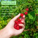 Breoudo 1200+ Mix Fruit Seeds, Berry Seeds - 6 Variety Non-GMO Heirloom Organic, Include Strawberry Seeds, Raspberry Seeds, Mulberry Seeds, Cranberry Seeds, Cherry Seeds, Blueberry Seeds