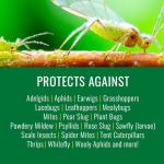 Bayer Natria Ready-to-Use Insecticidal Soap, 24 oz