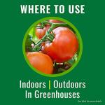 Bayer Natria Ready-to-Use Insecticidal Soap, 24 oz