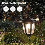 Dynaming 2 Pack Solar Hanging Lights Outdoor, Solar Powered Garden Decorative Lanterns with 2 x 38 Inch Shepherd Hooks, Waterproof Landscape Lighting for Lawn Patio Yard Pathway Driveway, Warm White