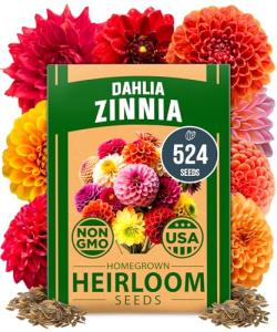 HOME GROWN 𝗨𝗦𝗔 𝗣𝗥𝗘𝗠𝗜𝗨𝗠 Zinnia Dahlia Seeds Pack for 2026 – 524 𝗡𝗢𝗡-𝗚𝗠𝗢 Flower Seeds | Vibrant Zinnia Elegans for Pollinator Gardens, Borders & Containers | Easy-to-Grow Outdoor Blooms