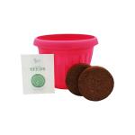 BUZZY Seeds Chaos Garden 3-Pack – Butterfly, Bee Attraction and Wildflower Seeds in 5.5 Inch Colorful Plastic Pots, Easy-Grow Flower Starter Kit, Indoor Gardening Gift