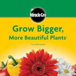 Miracle-Gro Water Soluble All Purpose Plant Food, For All Indoor or Outdoor Plants, Roses, Flowers, Vegetables, Houseplants, Trees, and Shrubs, 1.5 lbs