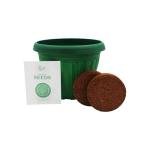 BUZZY Seeds Chaos Garden 3-Pack – Butterfly, Bee Attraction and Wildflower Seeds in 5.5 Inch Colorful Plastic Pots, Easy-Grow Flower Starter Kit, Indoor Gardening Gift