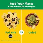 Miracle-Gro Water Soluble All Purpose Plant Food, For All Indoor or Outdoor Plants, Roses, Flowers, Vegetables, Houseplants, Trees, and Shrubs, 1.5 lbs