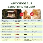 Solution4Patio US Cedar Hopper Bird Feeder for Outdoors Hanging, Handcrafted Wood Double Suet Cage & Clear View Windows, Squirrel-Proof Wild Bird Feeder for Cardinals, Finches, Chickadees