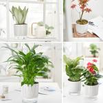 4 Pack Self Watering Pots Set, 4+5.5 Inch Self Watering Pots for Indoor Plants, Planter Pot with Wick Rope and Reservoir for African Violet, Spider Plant, Orchid