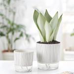 4 Pack Self Watering Pots Set, 4+5.5 Inch Self Watering Pots for Indoor Plants, Planter Pot with Wick Rope and Reservoir for African Violet, Spider Plant, Orchid