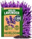 HOME GROWN 𝗨𝗦𝗔 𝗣𝗥𝗘𝗠𝗜𝗨𝗠 English Lavender Seeds 1,500+ 𝗡𝗢𝗡-𝗚𝗠𝗢 Wildflower Seed for Planting Indoor/Outdoor, High Germination, Plant Flower Seeds (Lavandula antustifolia)