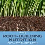 Scotts Turf Builder Grass Seed Kentucky Bluegrass Mix with Fertilizer and Soil Improver, Grows Dense, Green Turf, 5.6 lbs.