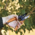 Fiskars Bypass Pruning Shears, 5/8-Inch Cut Capacity SoftGrip Hand Pruner for Small Hands, Blade Stays Sharp Through Heavy Use with Rust Resistant, Low-Friction Coating