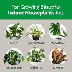 Miracle-Gro Indoor Potting Mix, Blended for a Variety of Houseplants, Feeds for up to 6 Months, 6 qt., 2-Pack