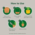 Miracle-Gro Indoor Potting Mix, Blended for a Variety of Houseplants, Feeds for up to 6 Months, 6 qt., 2-Pack