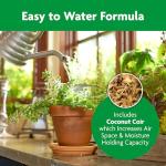 Miracle-Gro Indoor Potting Mix, Blended for a Variety of Houseplants, Feeds for up to 6 Months, 6 qt., 2-Pack