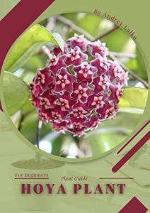 Hoya plant: Plant Guide