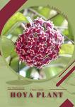 Hoya plant: Plant Guide