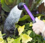Dramm 14866 Rain Wand with One Touch Valve, 16" Berry