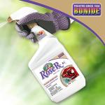 Bonide Captain Jack's Rose Rx 4-in-1 Insect & Disease Control, 32 oz Ready-to-Use Spray Neem Oil for Organic Gardening