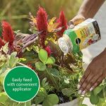 Miracle-Gro Shake 'N Feed All Purpose Plant Food, For In-Ground and Container Plants, Feeds for up to 3 Months, 1 lb.