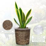 FUIJOL 4/5/6/7 Inch Clear Nursery Pots for Plants with Sacuers 20 Pack, Plastic Flower Pots with Drainage Holes, Variety Pack Seedlings Garden Pot for Indoor Outdoor (4+5+6+7 inch)