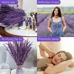 Dried Purple Lavender Flowers Bundle-Dried Preserved Lavender Bouquet 15-17" for Shower Weeding Home Vase Decor, Crafts, Aromatherapy, Fragrance, Fresh Silk Dry Live Plants, 50g(1.76oz)