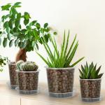 FUIJOL 4/5/6/7 Inch Clear Nursery Pots for Plants with Sacuers 20 Pack, Plastic Flower Pots with Drainage Holes, Variety Pack Seedlings Garden Pot for Indoor Outdoor (4+5+6+7 inch)