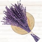 Dried Purple Lavender Flowers Bundle-Dried Preserved Lavender Bouquet 15-17" for Shower Weeding Home Vase Decor, Crafts, Aromatherapy, Fragrance, Fresh Silk Dry Live Plants, 50g(1.76oz)