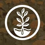 No-Till Garden Farm and Garden Cover Crop Mix Seeds - 5 Lbs - Blend of Gardening Cover Crop Seeds: Hairy Vetch, Daikon Radish, Forage Collards, Triticale, More