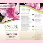 1 Gallon Azalea Encore Autumn Twist Shrub