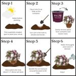 1 Gallon Azalea Encore Autumn Twist Shrub