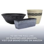 Classic Home and Garden Corinthian Shallow Planter with Drainage - Decorative Garden Bowl Planter for Succulents, Flowers, & More - UV Resistant Wide Plant Bowl for Indoors/Outdoors (12” Ivory Ash)