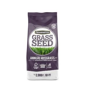 Pennington Annual Ryegrass Grass Seed 10 lb
