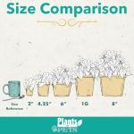 Easy to Grow Houseplants (6PK), Live House Plants in Plant Containers, Growers Choice Plant Set in Planters with Potting Soil Mix, Home Decor Planting Kit or Outdoor Garden Gifts by Plants for Pets