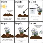 2 Gallon Proven Winners Blue Chiffon Hibiscus Shrub