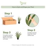 Nearly Natural, Green 4855 35in. Sansevieria with Black Planter