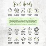 Seed Needs Forget Me Not Seed Packet Favors - Thoughtful Gifts/Handouts for a Memorial or Funeral Service to Remember Loved Ones - Sowing Seeds in Remembrance (30 Packets)