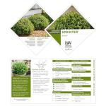 Proven Winners 2 Gallon Sprinter Boxwood