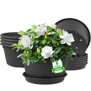 NNARRE 6 Pack 10 inch Plant Pot, Round Plastic Plant Pots, Outdoor Pots for Plants with Drainage Hole & Tray Saucer, Decoration Flower Pots for Indoor Plants Home Garden Outdoor Planters (Dark Gray)