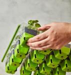 Burpee SuperSeed Seed Starting Tray | 16 XL Cell | Reusable & Dishwasher Safe | for Starting Vegetable Seeds, Flower Seeds & Herb Seeds | Indoor Grow Kit for Deep-Rooted Seedlings, Green